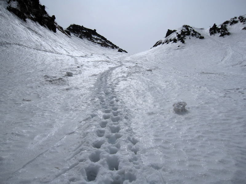 a0196565_1781550.jpg