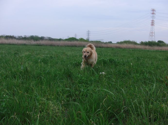 c0199365_14333688.jpg