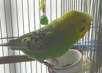 f0196665_10125080.jpg