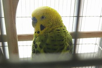 f0196665_1023228.jpg
