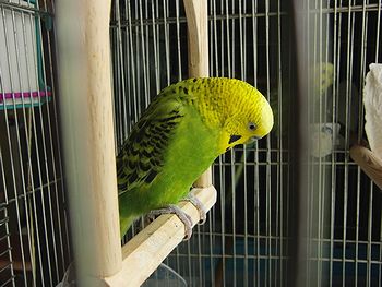 f0196665_1064193.jpg