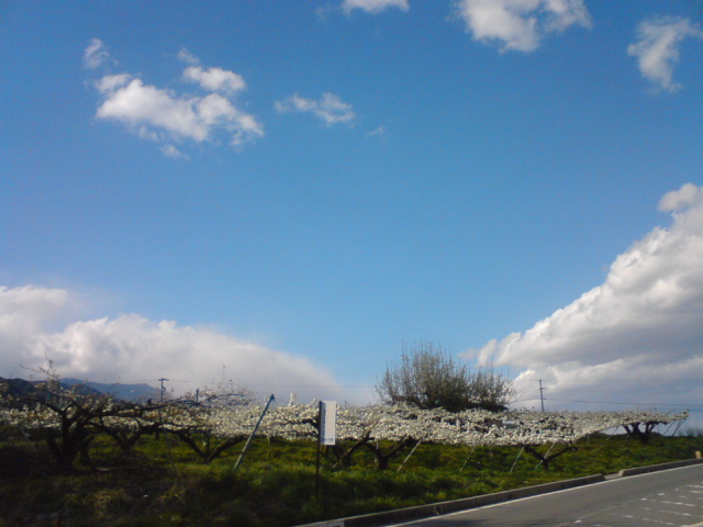 f0096569_20483932.jpg
