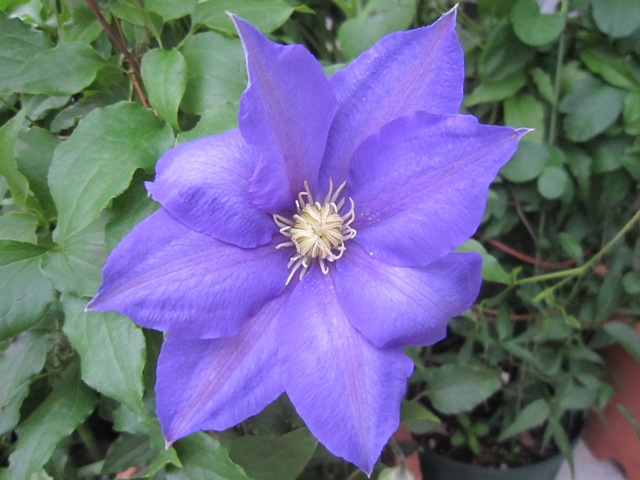c0202870_20514242.jpg