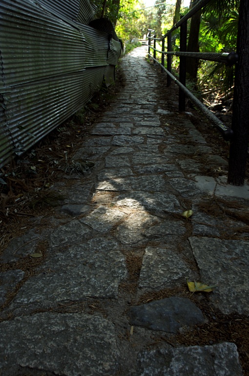 a0050572_9255163.jpg