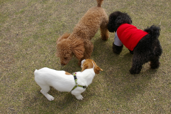 d0228072_15492453.jpg