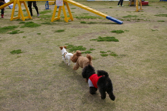 d0228072_15511482.jpg