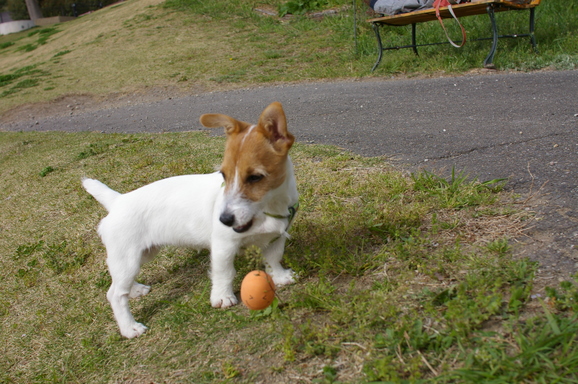 d0228072_15525429.jpg