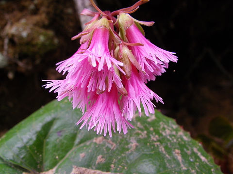 c0002874_21154825.jpg