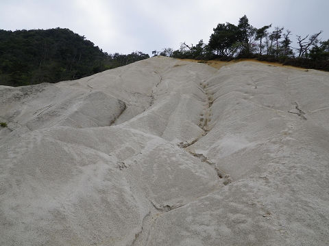 c0002874_21234791.jpg