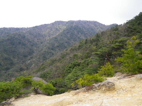 c0002874_21291133.jpg