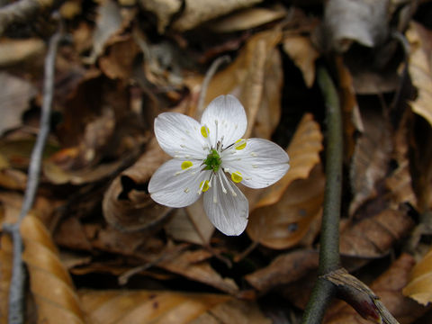 c0002874_21373775.jpg