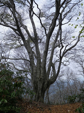 c0002874_21384479.jpg