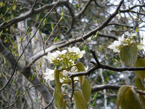 c0002874_2156251.jpg