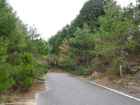 c0002874_220379.jpg
