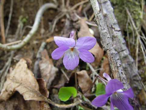 c0002874_22172662.jpg