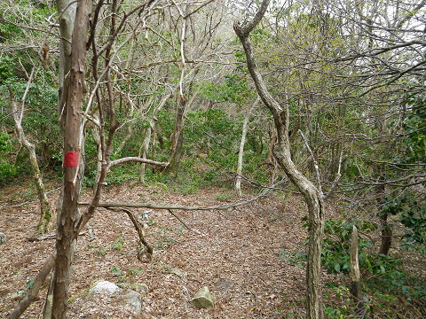 c0002874_22183518.jpg