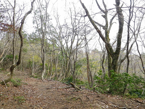 c0002874_2241673.jpg