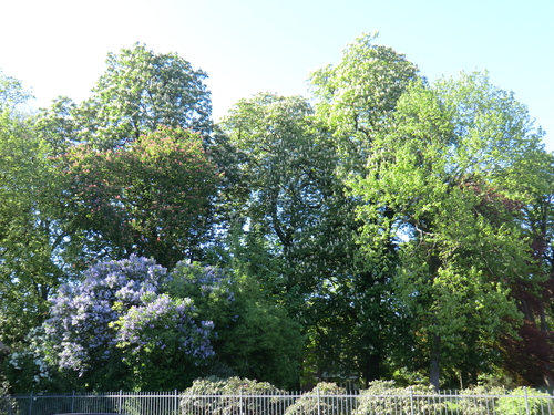 b0213177_593380.jpg