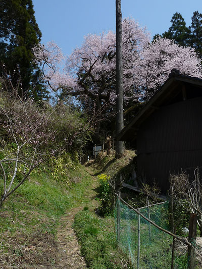 c0152779_1413685.jpg