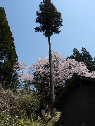 c0152779_1415332.jpg