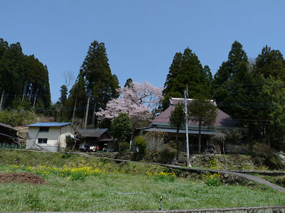 c0152779_1422051.jpg