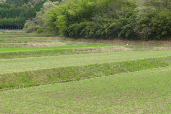 f0090680_0183039.jpg