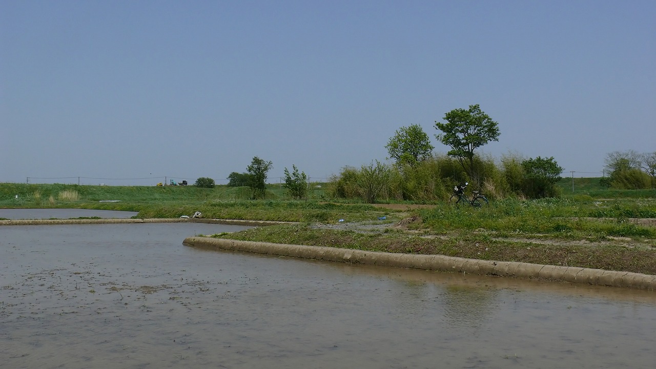 a0185081_15523361.jpg