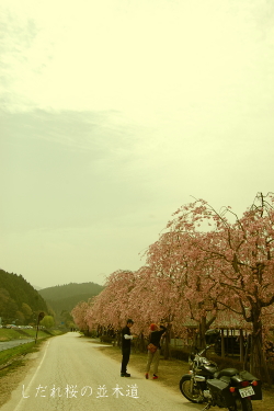 d0179983_23272880.jpg