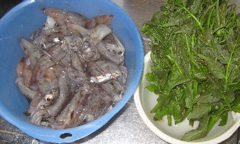 f0003283_12253597.jpg
