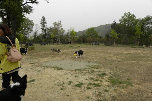 c0120585_2028444.jpg