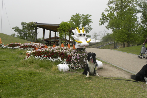 c0120585_2071618.jpg