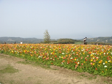 b0075888_10273124.jpg