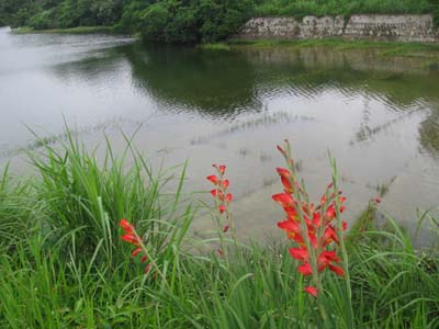 c0064389_13514011.jpg