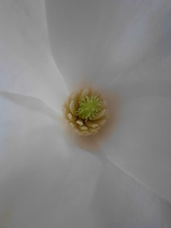 c0227690_16155463.jpg