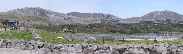 f0202990_1622683.jpg
