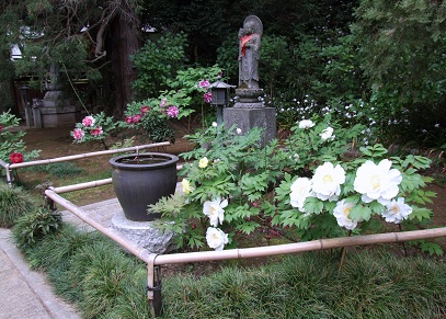 d0099791_17322634.jpg