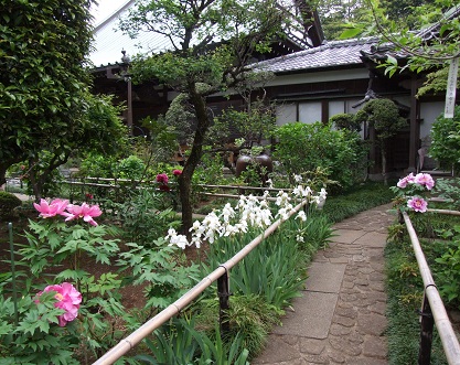 d0099791_17545566.jpg