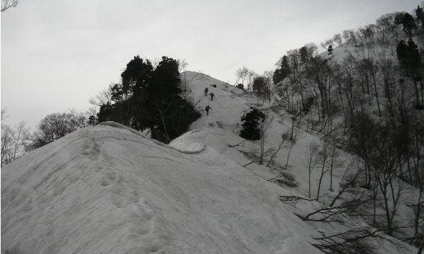 f0125091_742021.jpg