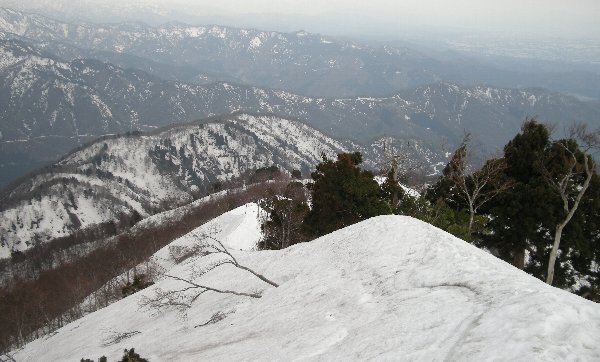 f0125091_743196.jpg