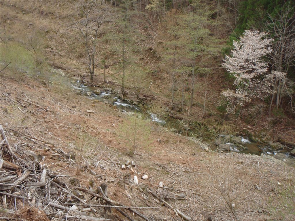 c0177497_220144.jpg