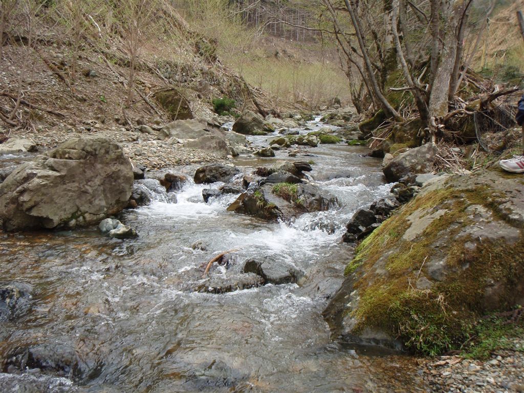 c0177497_2205943.jpg