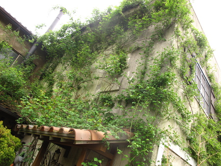 f0178897_1920026.jpg