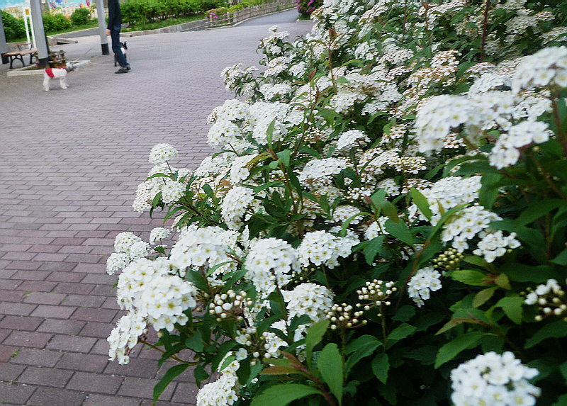 c0138198_10423078.jpg
