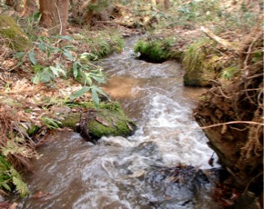 c0151898_20305882.jpg