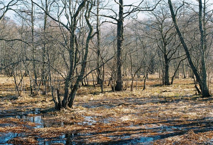 f0220698_19304245.jpg