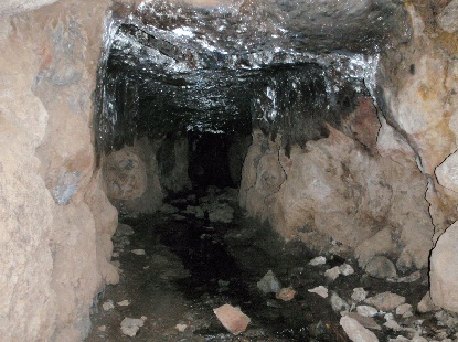 e0077899_81477.jpg