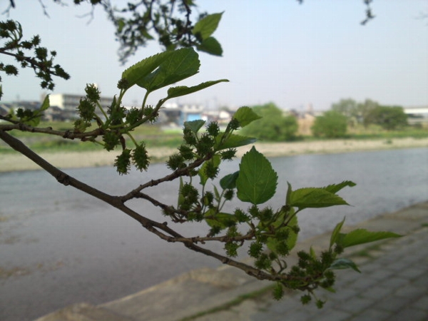 a0031000_23415265.jpg