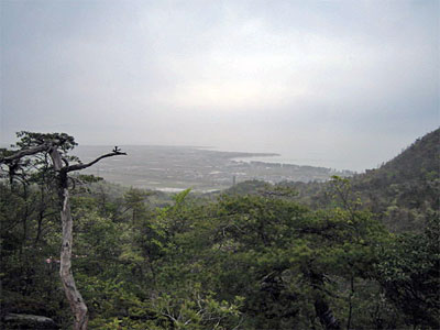 b0108100_9432477.jpg