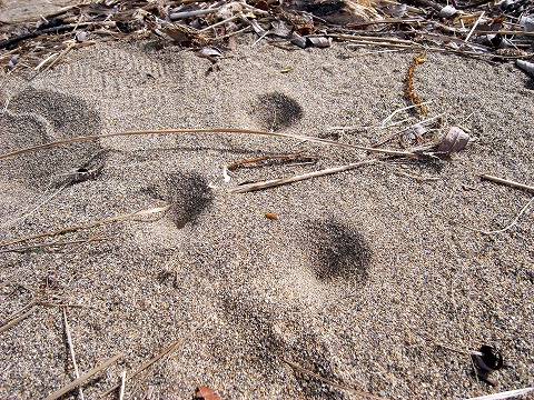 d0166900_19481747.jpg