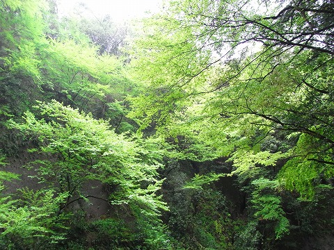 f0187402_2227569.jpg